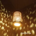 Black SOLA Ceiling Lamp - Image 2