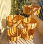 Bamboo Rack