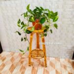 Plain Planter - Image 2