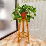Plain Planter - Image 3