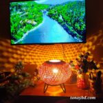 Single Ball Lamp With Stand