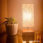 Sunshine 2 - Image 4