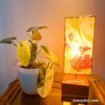 Sunflower - Image 3